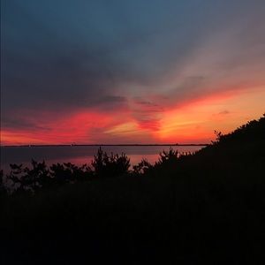 Meet your Posher, Lindsey